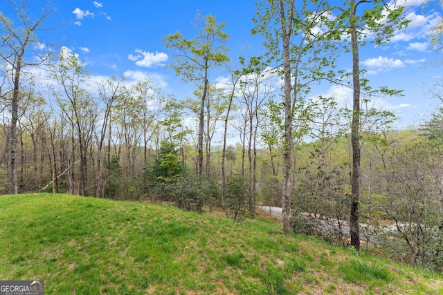 527 Abby, Clayton, GA 30525 - view of grassy yard featuring a wooded view