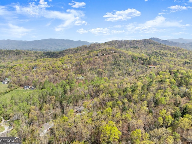 527 Abby, Clayton, GA 30525 - mountain view featuring a forest