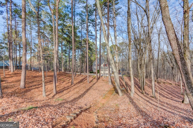 view of yard featuring a forest view