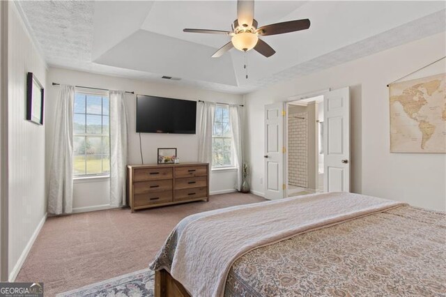 bedroom featuring multiple windows, baseboards, a raised ceiling, and carpet floors