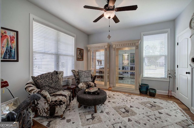 17 Ivy Stone Ct SE, Cartersville, GA 30120 - living area with baseboards, a ceiling fan, and wood finished floors