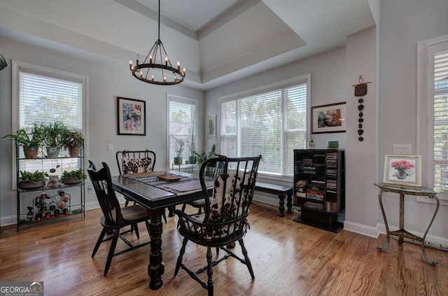 17 Ivy Stone Ct SE, Cartersville, GA 30120 - dining area with baseboards, wood finished floors, and a chandelier
