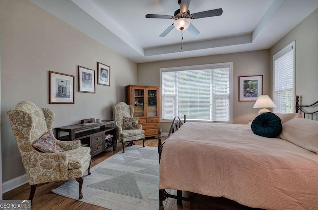 17 Ivy Stone Ct SE, Cartersville, GA 30120 - bedroom with a raised ceiling, wood finished floors, baseboards, and ceiling fan