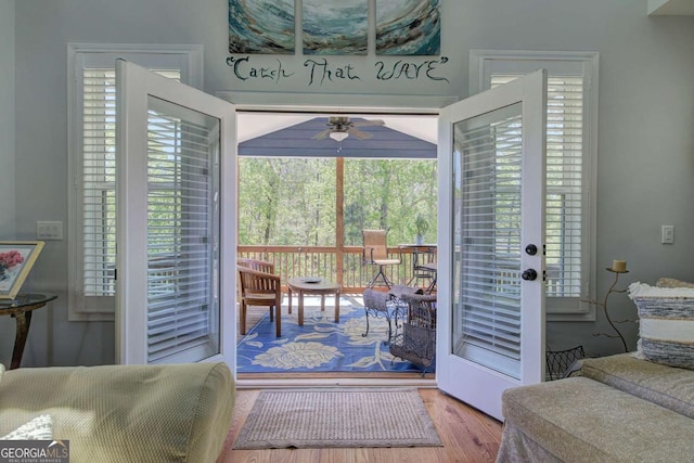 17 Ivy Stone Ct SE, Cartersville, GA 30120 - entryway with wood finished floors, ceiling fan, and plenty of natural light