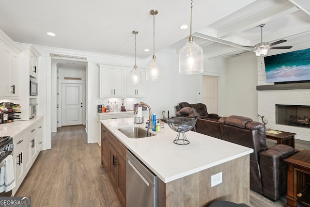 kitchen featuring a sink, open floor plan, a ceiling fan, wood finished floors, and appliances with stainless steel finishes