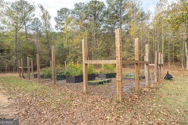 10 Rivermont Dr SW, Rome, GA 30165 - view of yard with a vegetable garden