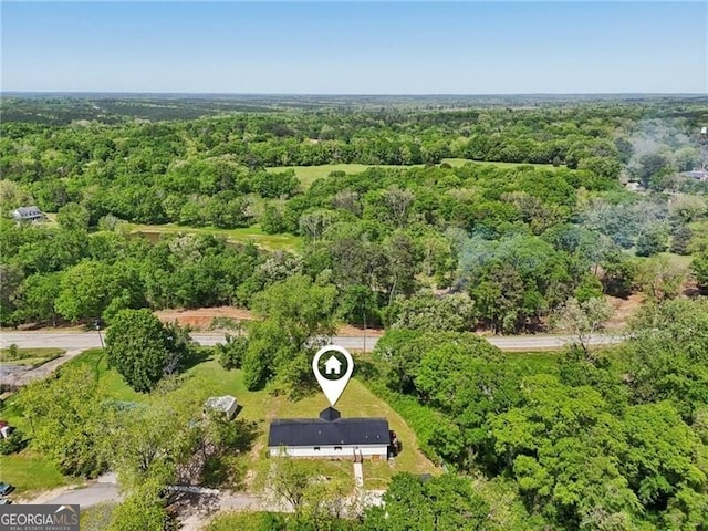 1060 Stephen St, Greensboro, GA 30642 - aerial view of a forest