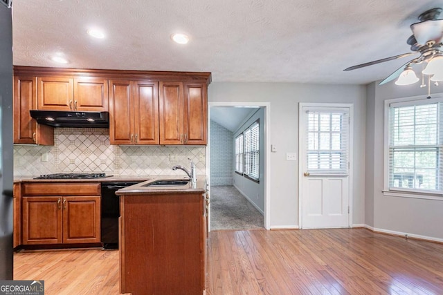 kitchen featuring light wood-style flooring, a sink, ceiling fan, under cabinet range hood, and black appliances