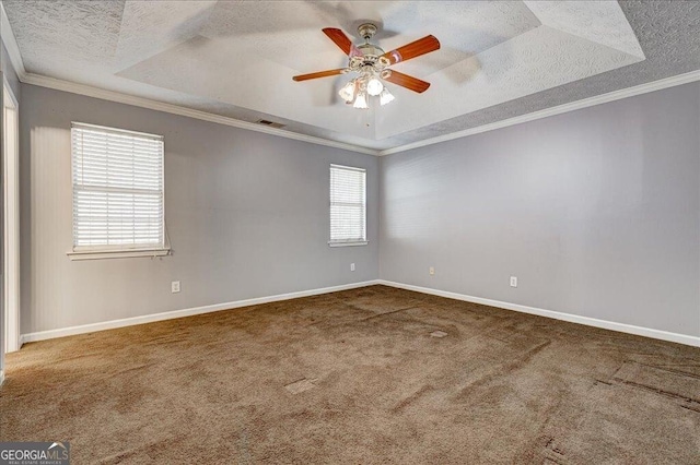 spare room featuring carpet floors, a tray ceiling, and a textured ceiling