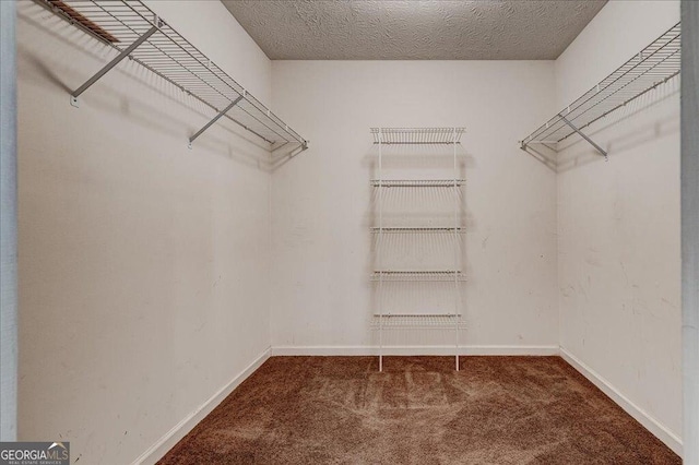 walk in closet featuring carpet