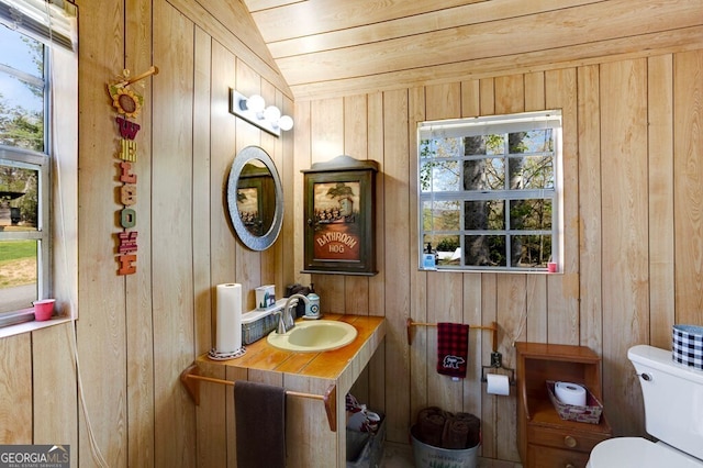 329 Ed King Rd, Blairsville, GA 30512 - bathroom featuring plenty of natural light, wooden walls, vanity, and toilet