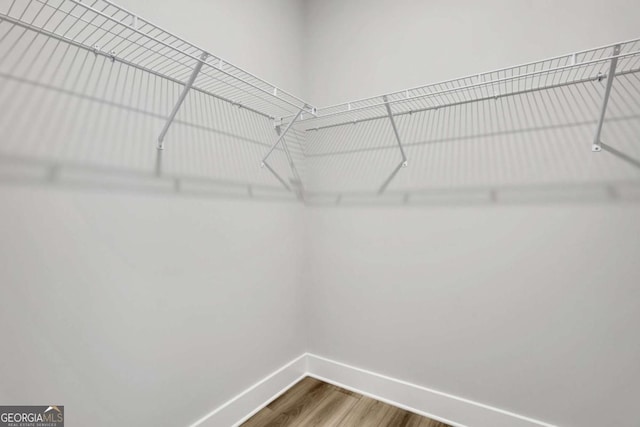 spacious closet featuring wood finished floors