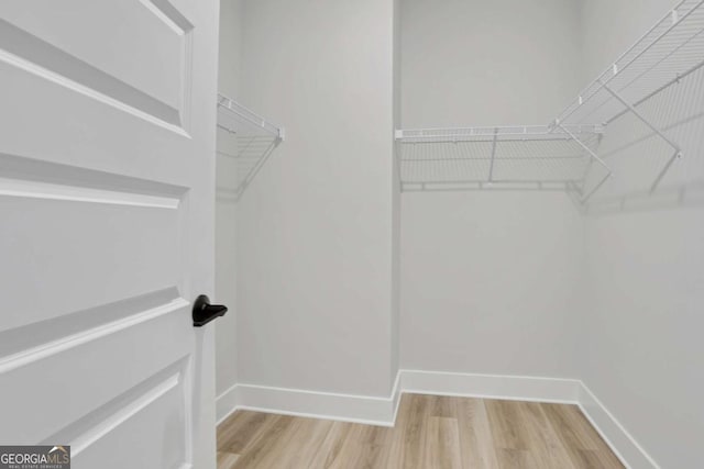 spacious closet featuring light wood-style flooring