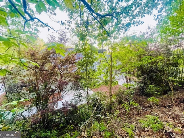 7675 Lanier View Rdg, Cumming, GA 30041 - view of undeveloped land