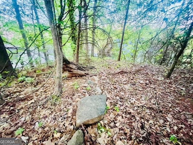 7675 Lanier View Rdg, Cumming, GA 30041 - view of undeveloped land