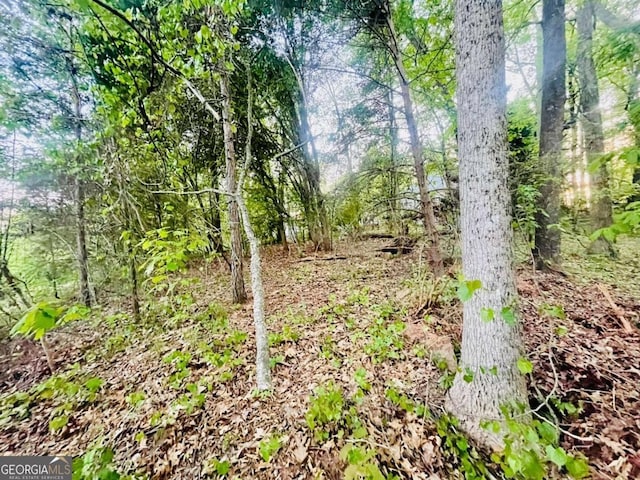 7675 Lanier View Rdg, Cumming, GA 30041 - view of local wilderness