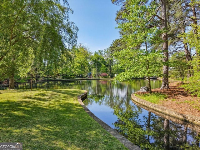 55 Delmont Dr NE Unit D1, Atlanta, GA 30305 - water view