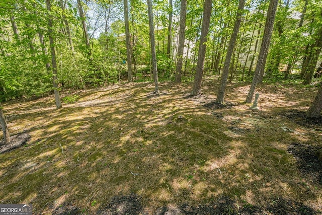 1331 Windage Ct SW, Marietta, GA 30008 - view of yard
