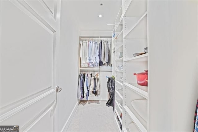 walk in closet featuring carpet floors