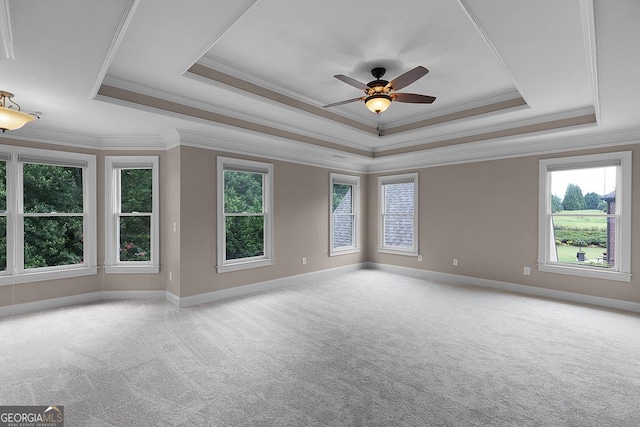 spare room featuring crown molding, carpet floors, a ceiling fan, baseboards, and a tray ceiling