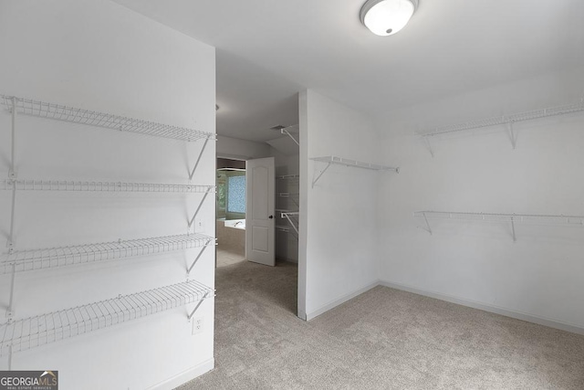 spacious closet featuring light colored carpet