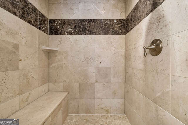 bathroom view of a tile shower