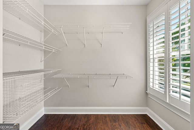 spacious closet featuring wood finished floors