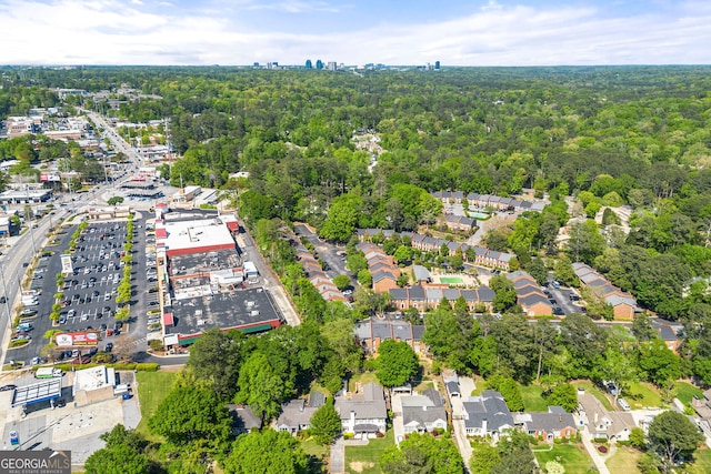 bird's eye view of a forest