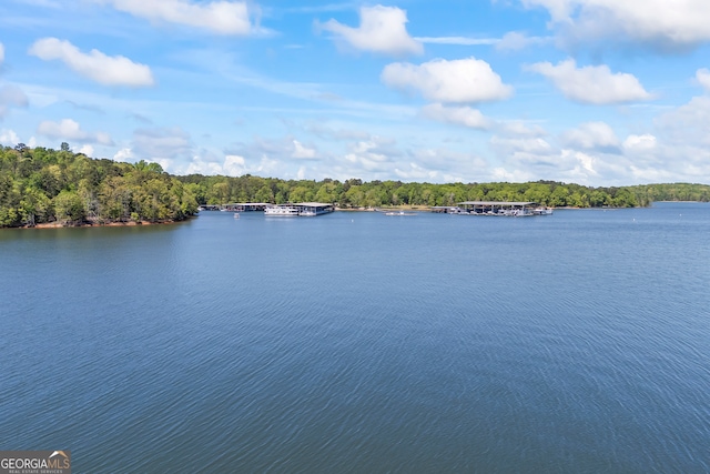 water view with a view of trees