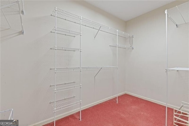 spacious closet with carpet