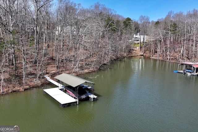 dock area with a water view