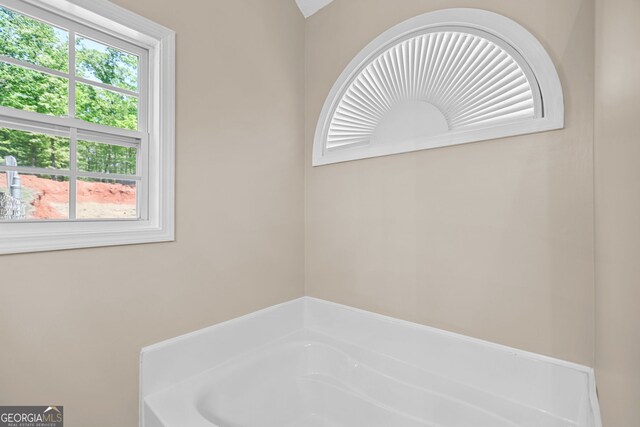 120 Hidden Brook Trl, Newnan, GA 30265 - bathroom featuring a bath and healthy amount of natural light