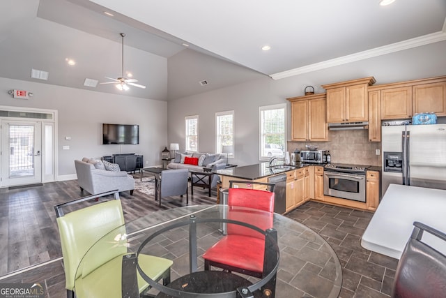 4236 Tacoma Trce, Suwanee, GA 30024 - kitchen with appliances with stainless steel finishes, a peninsula, vaulted ceiling, tasteful backsplash, and under cabinet range hood
