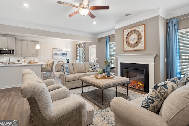 113 Silver Leaf Trce, Douglasville, GA 30134 - living area with crown molding, ceiling fan with notable chandelier, a glass covered fireplace, light wood-style floors, and visible vents