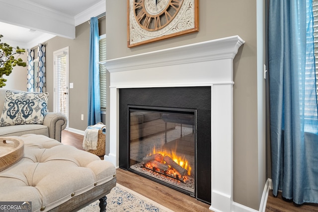 113 Silver Leaf Trce, Douglasville, GA 30134 - interior space featuring baseboards, ornamental molding, a glass covered fireplace, and wood finished floors