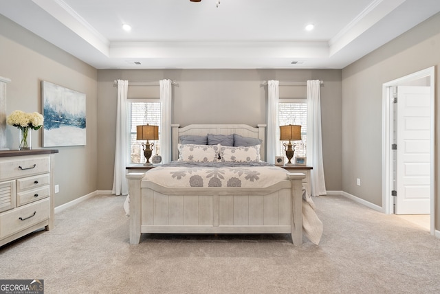113 Silver Leaf Trce, Douglasville, GA 30134 - bedroom with a raised ceiling, light carpet, and ornamental molding