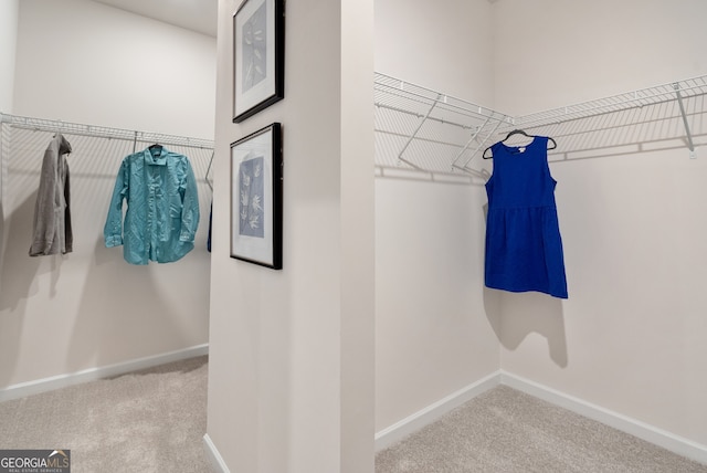 113 Silver Leaf Trce, Douglasville, GA 30134 - spacious closet featuring carpet flooring