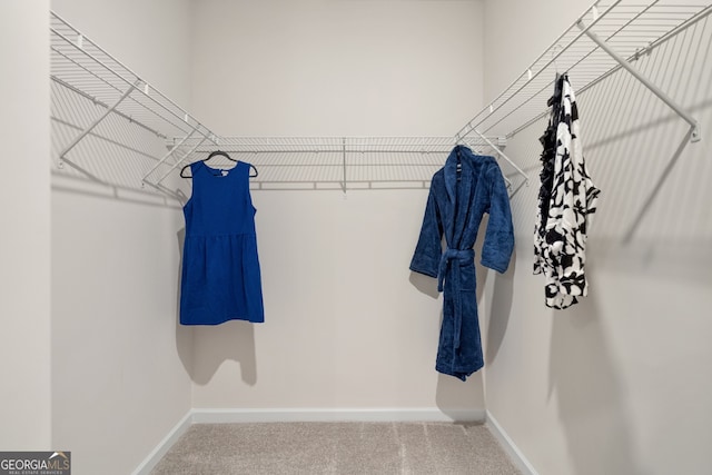 113 Silver Leaf Trce, Douglasville, GA 30134 - spacious closet featuring carpet flooring