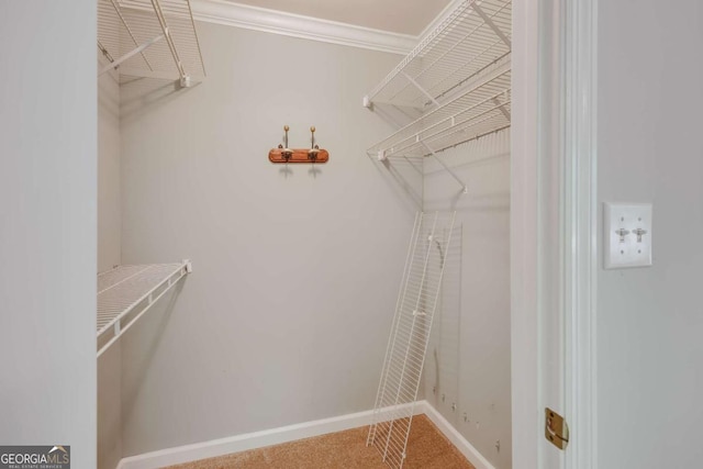 490 Mcwhorter Dr, Athens, GA 30606 - walk in closet with carpet