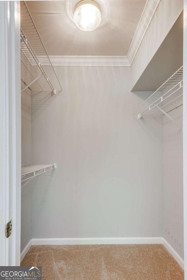 490 Mcwhorter Dr, Athens, GA 30606 - walk in closet with carpet