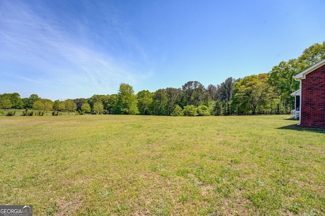 view of yard with a wooded view