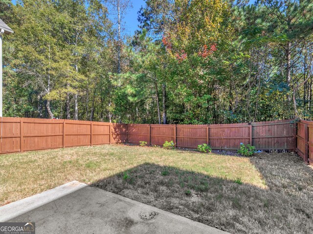 view of yard featuring a patio area