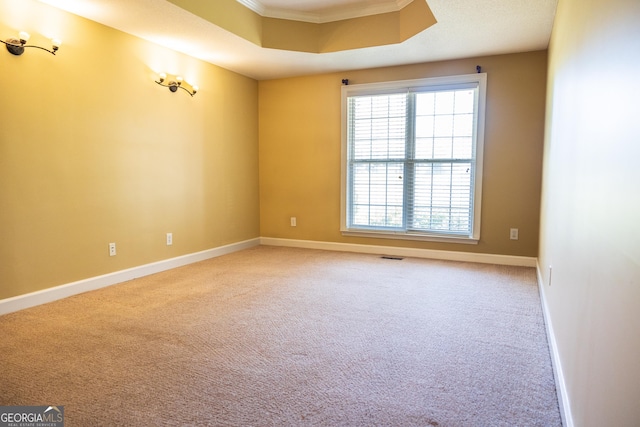 109 Trudie Ln, Macon, GA 31216 - empty room with light carpet, plenty of natural light, ornamental molding, and a raised ceiling