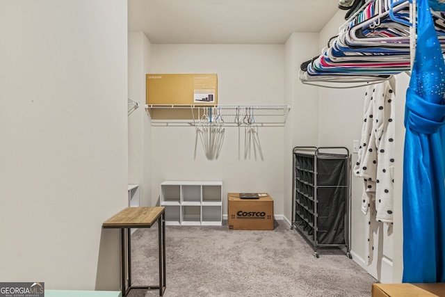 spacious closet featuring carpet