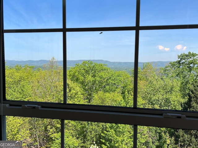 room details with a mountain view