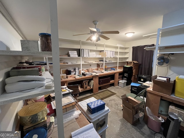 storage with a ceiling fan