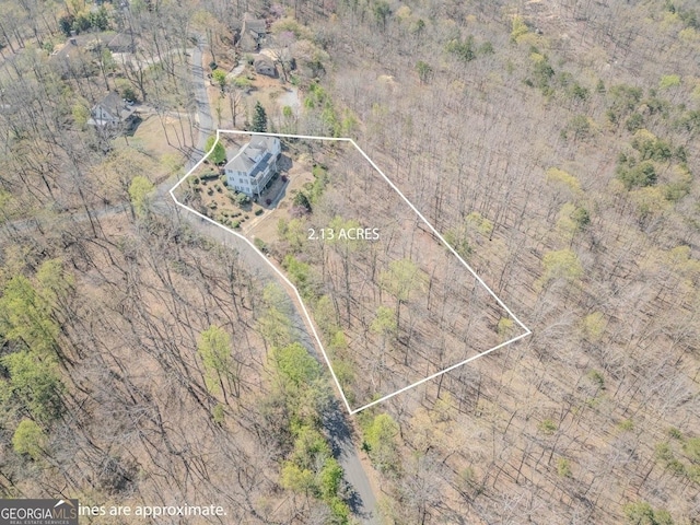 bird's eye view