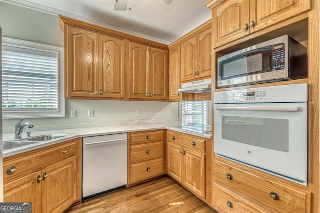 kitchen featuring a sink, stainless steel appliances, light wood finished floors, light countertops, and under cabinet range hood
