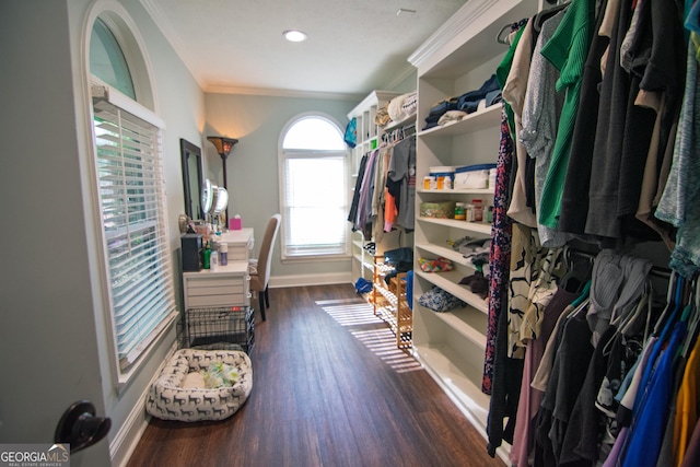 spacious closet with wood finished floors