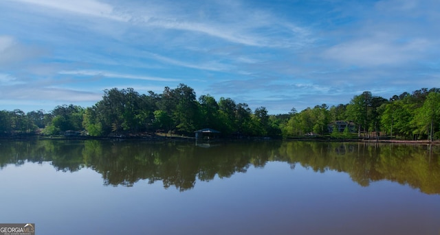 view of water feature with a forest view